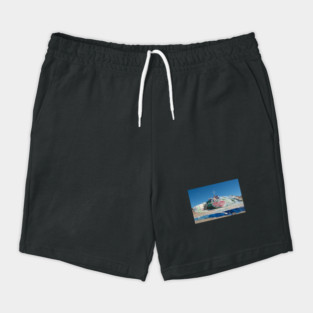 Salvation Mountain Shorts