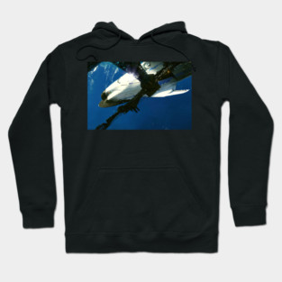 Starship Hoodie
