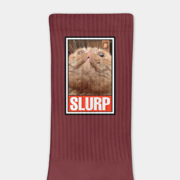 RUFUS the SLURPY CAT! by Pete the Cat Guy