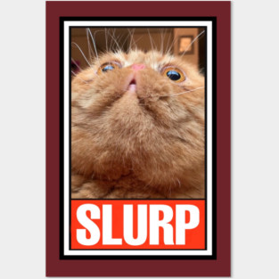 RUFUS the SLURPY CAT! Posters and Art