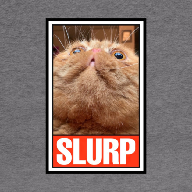 RUFUS the SLURPY CAT! by Pete the Cat Guy