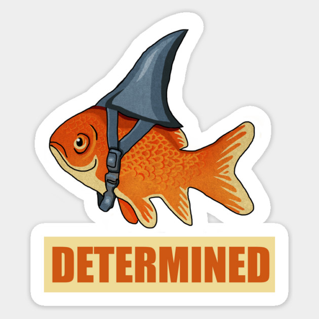 Determined Motivational, Goldfish Shark Sticker by logiamerch