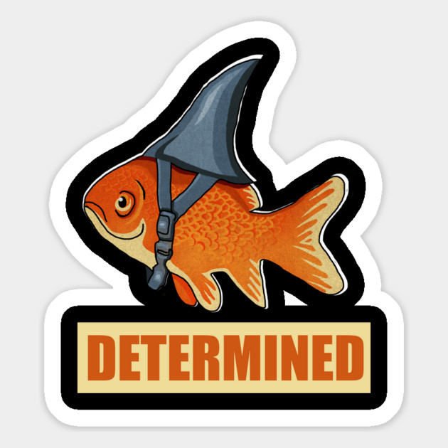 Determined Motivational, Goldfish Shark Magnet by logiamerch