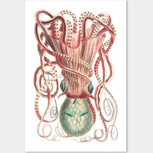 Cthulhu octopus Posters and Art