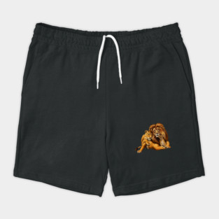 African Lion Family, Lioness, Lion and Cub Shorts