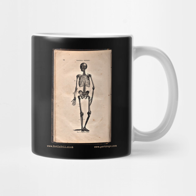 “HUMAN SKELETON” – HOOKER’S NATURAL HISTORY (1874) –– Mug & Travel Mug by Rot In Hell Club
