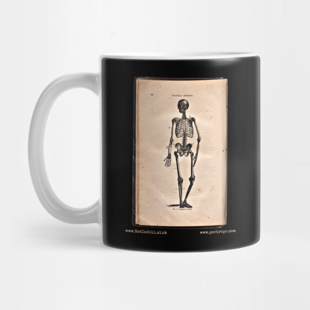 “HUMAN SKELETON” – HOOKER’S NATURAL HISTORY (1874) –– Mug & Travel Mug by Rot In Hell Club