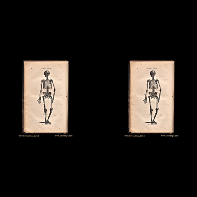 “HUMAN SKELETON” – HOOKER’S NATURAL HISTORY (1874) –– Mug & Travel Mug by Rot In Hell Club