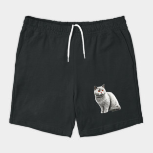 British Shorthair Cat, Love British Shorthair Cats Shorts
