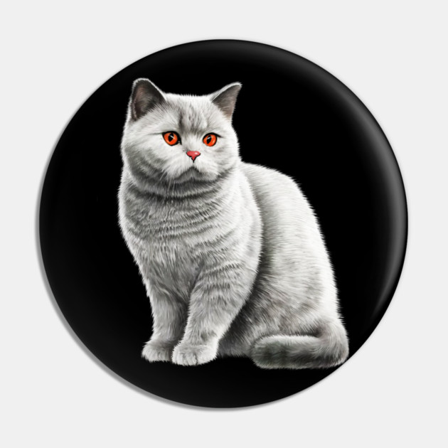 British Shorthair Cat, Love British Shorthair Cats Pin by logiamerch
