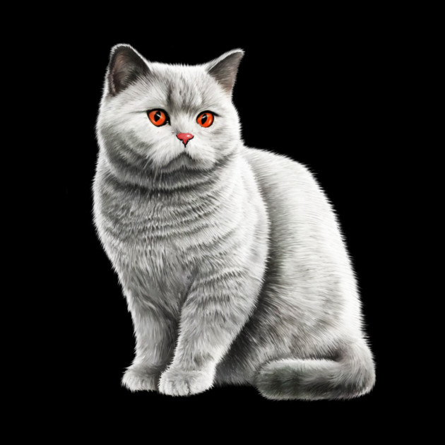 British Shorthair Cat, Love British Shorthair Cats by logiamerch