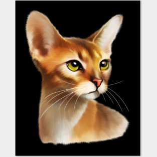 Abyssinian cat, Cat Lover Posters and Art