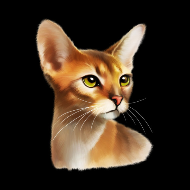 Abyssinian cat, Cat Lover by logiamerch