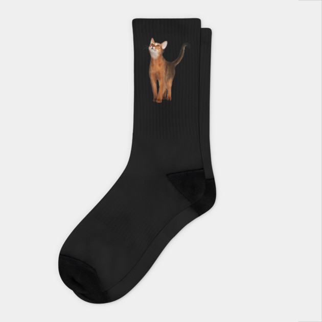 Abyssinian cat, Cat Lover Socks by logiamerch