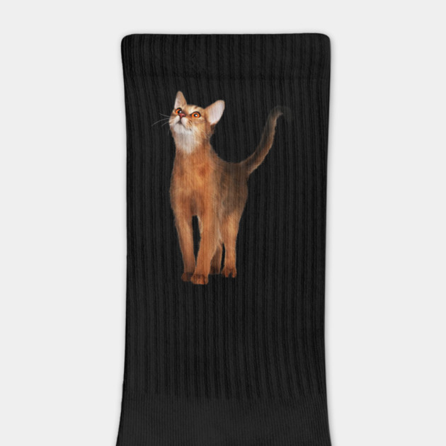 Abyssinian cat, Cat Lover by logiamerch