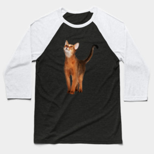 Abyssinian cat, Cat Lover Baseball T-Shirt