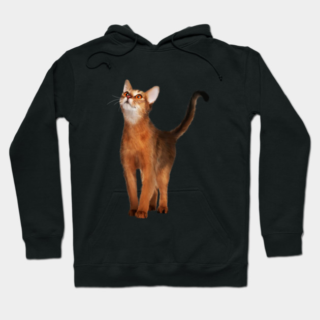 Abyssinian cat, Cat Lover Hoodie by logiamerch