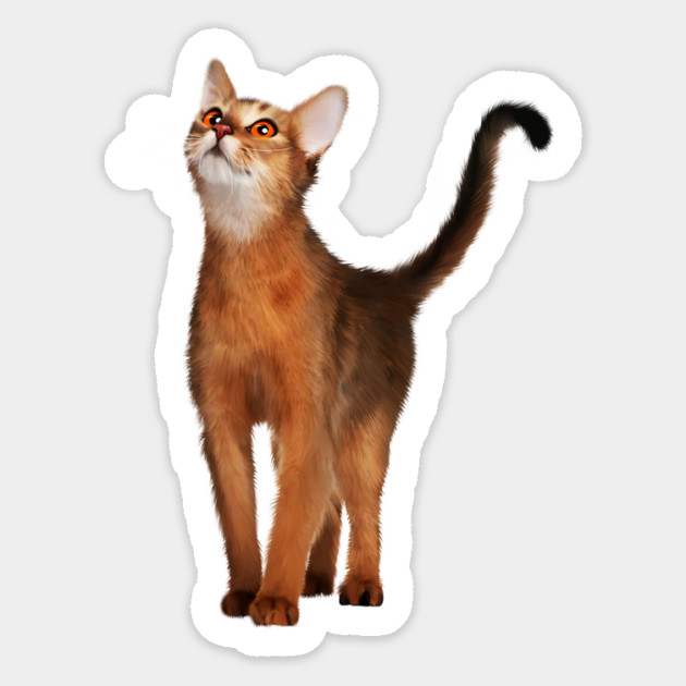 Abyssinian cat, Cat Lover Sticker by logiamerch