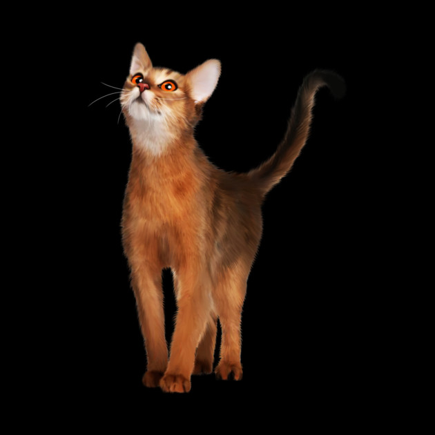 Abyssinian cat, Cat Lover by logiamerch
