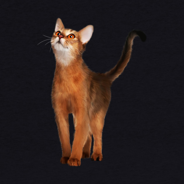 Abyssinian cat, Cat Lover by logiamerch