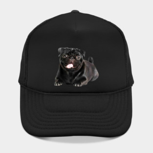 Black Pug Dog, Love Pug Dogs Hat