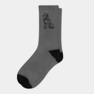 Black Cocker Spaniel, Dog Lover Socks