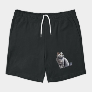 British Shorthair Cat, Love British Shorthair Cats Shorts