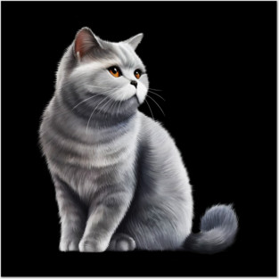 British Shorthair Cat, Love British Shorthair Cats Posters and Art