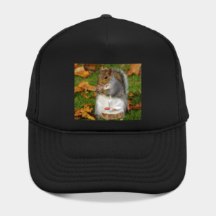 squirrel Hat