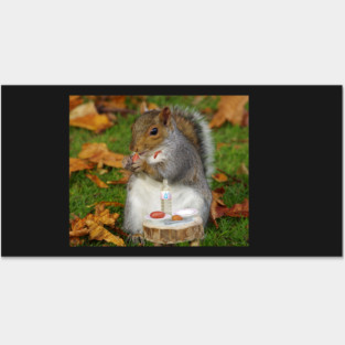 squirrel Posters and Art