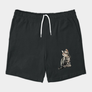 Cute Kitten, Cat Lover Shorts