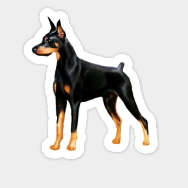 Doberman Dog, Love Doberman Dogs Sticker by logiamerch