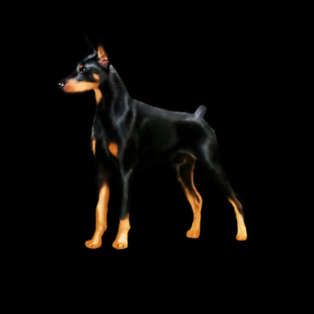 Doberman Dog, Love Doberman Dogs by logiamerch