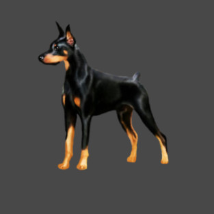 Doberman Dog, Love Doberman Dogs T-Shirt