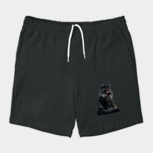 Black Main Coon Cat, Cat Lover Shorts
