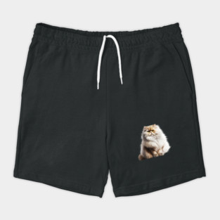Cute Persian Cat, Fluffy Cat Lover Shorts