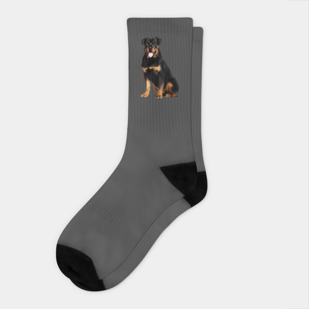 Rottweiler Dog, Dog Lover Socks by logiamerch