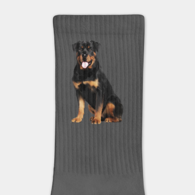 Rottweiler Dog, Dog Lover by logiamerch