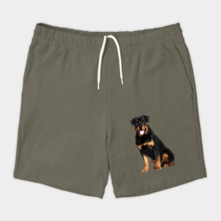 Rottweiler Dog, Dog Lover Shorts