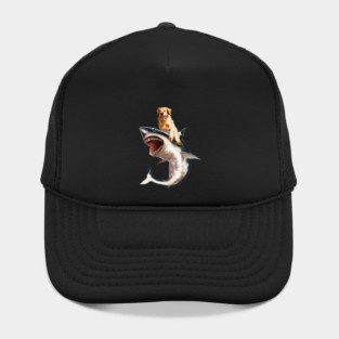 Funny Golden Retriever Dog Riding Shark Hat