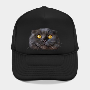Funny Scottish Fold Face, Cat Lover Hat