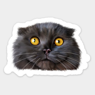 Funny Scottish Fold Face, Cat Lover Sticker