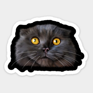 Funny Scottish Fold Face, Cat Lover Magnet