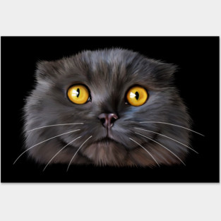 Funny Scottish Fold Face, Cat Lover Posters and Art