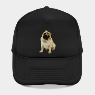 Pug Dog, Cream Pug Dog Lover Hat