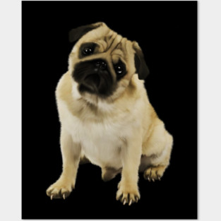 Pug Dog, Cream Pug Dog Lover Posters and Art