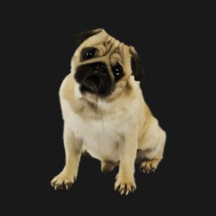Pug Dog, Cream Pug Dog Lover T-Shirt