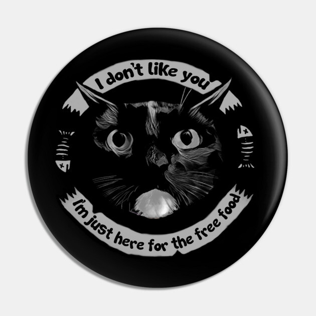 "I don't like you"- Cat Pin by Pete the Cat Guy