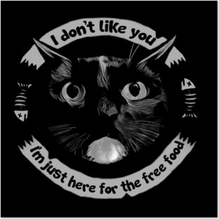 "I don't like you"- Cat Posters and Art