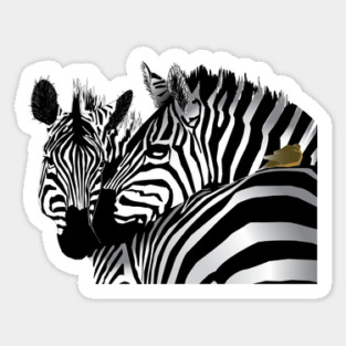Zebras Sticker